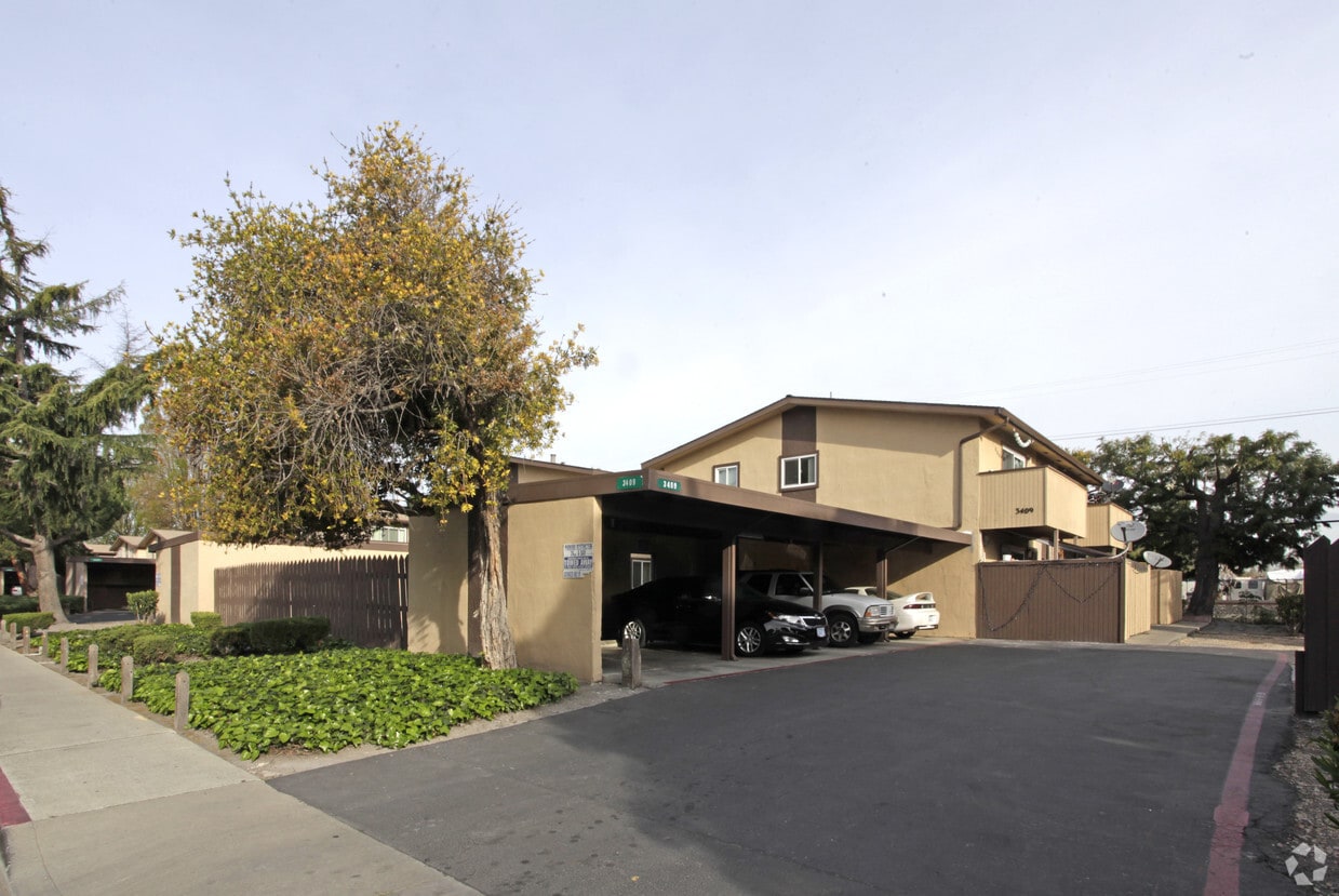 Primary Photo - Shayla Apartments