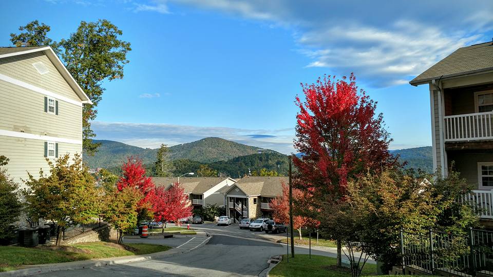 The Village of Meadowview - The Village of Meadowview