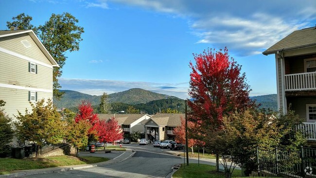 Building Photo - The Village of Meadowview