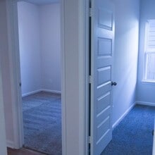 Building Photo - 3338 Brushy Marsh Dr