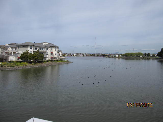 Building Photo - 206 Mendocino Way