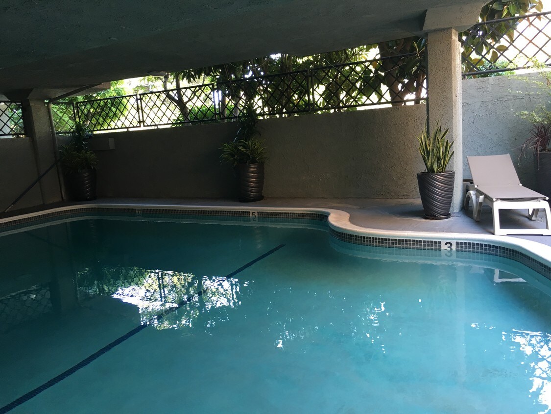 Alexio Pool - 1538 N Vista St