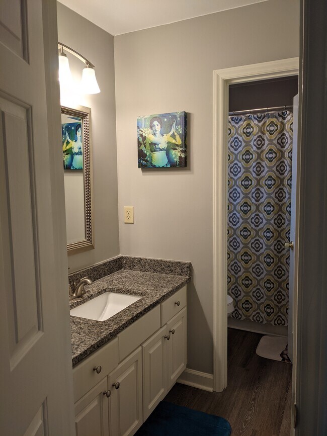 master bath - 700 W Lakewood Ave