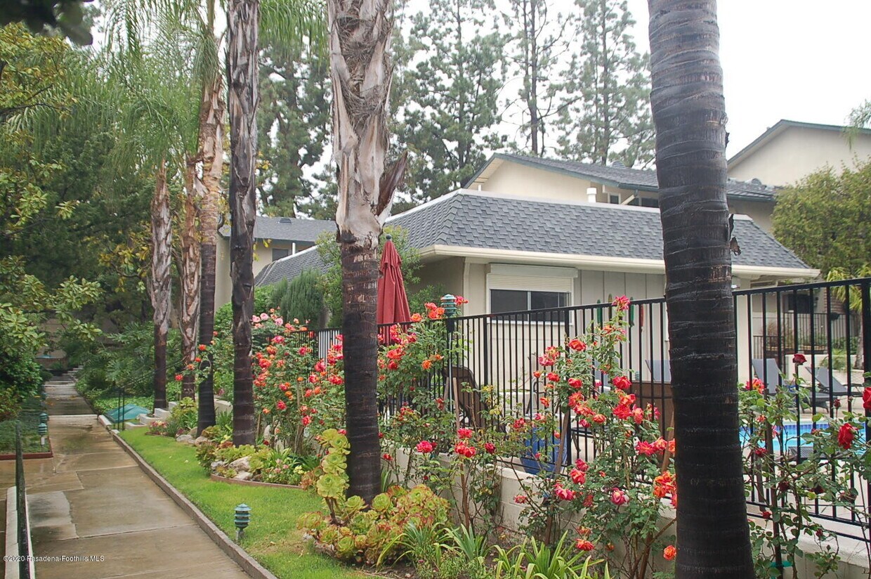 2470 E Mountain St, Pasadena, CA 91104 Condo for Rent in Pasadena, CA