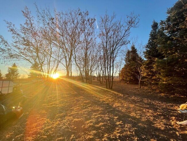 Building Photo - 5 Acre Ranch 3bed/2bth home with amazing v...