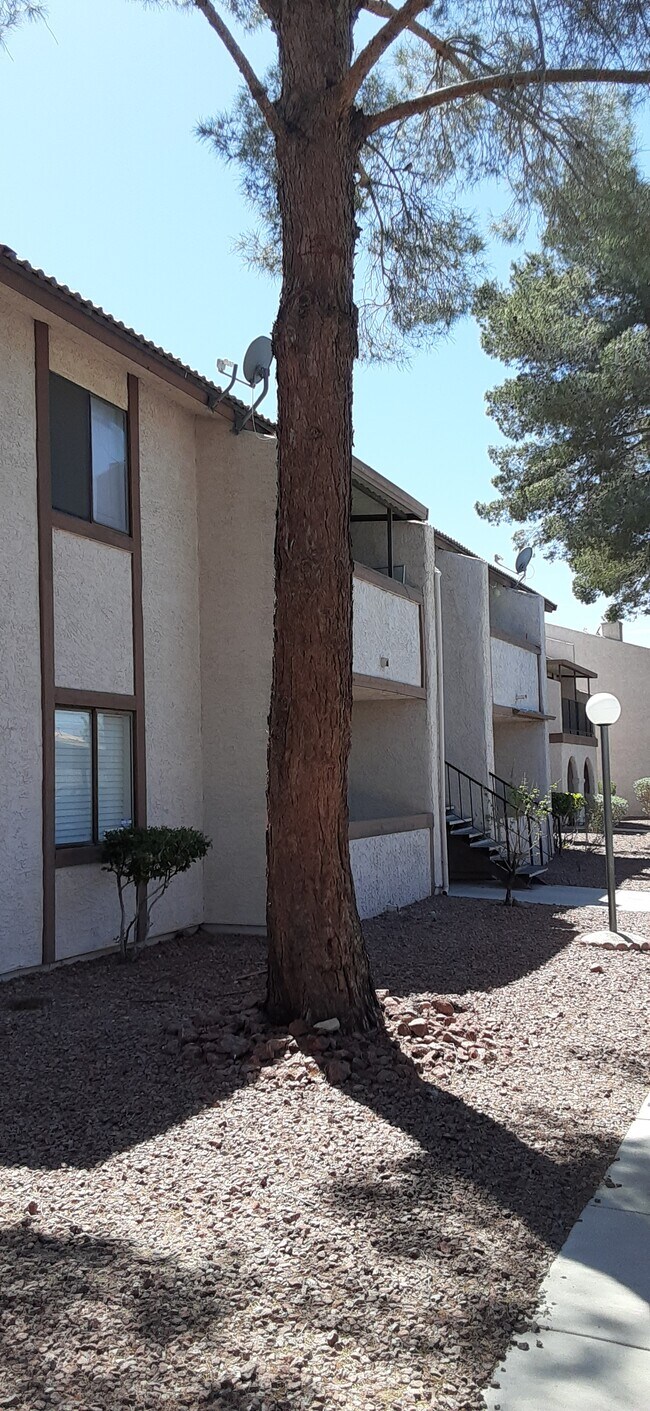 Foto del edificio - 5243 Corinne Ct