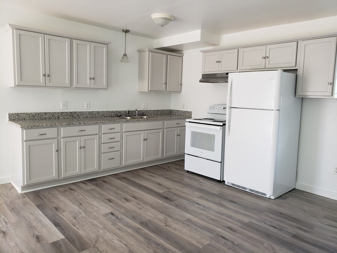 Newly renovated kitchen with new appliances - 1626 Dickinson St