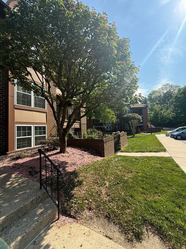 Foto del edificio - 2101 Woodbox Lane