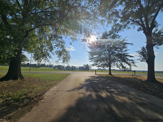 Foto del edificio - Muleride Manor