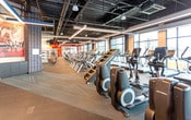 Located on Schering Drive in Union, NJ, this single-floor fitness center is designed to support a comprehensive range of workout activities within a spacious, thoughtfully organized layout. The facility is divided into distinct training zones, each tailored to specific exercise needs.

The cardio zone is positioned along a full wall of floor-to-ceiling windows, flooding the space with natural light and offering open outdoor views. This area houses a robust lineup of treadmills, ellipticals, stair climbers, stationary bikes, and rowing machines, all arranged to maximize usability and circulation.

The strength training zone features weight benches, plate-loaded barbells, dumbbell racks, and a cable machine system, set against bold red accent walls. Overhead mounted televisions add an entertainment component to workouts. A separate studio space, visible through interior glass windows, is equipped for group fitness or stretching activities.

The facility maintains a polished industrial aesthetic throughout, with exposed black ceilings, patterned commercial carpet flooring, and sleek linear LED lighting. A hydration station and built-in shelving are centrally located for convenience. An interior mezzanine overlook with glass railings is visible from the main floor, adding architectural depth to the overall design.