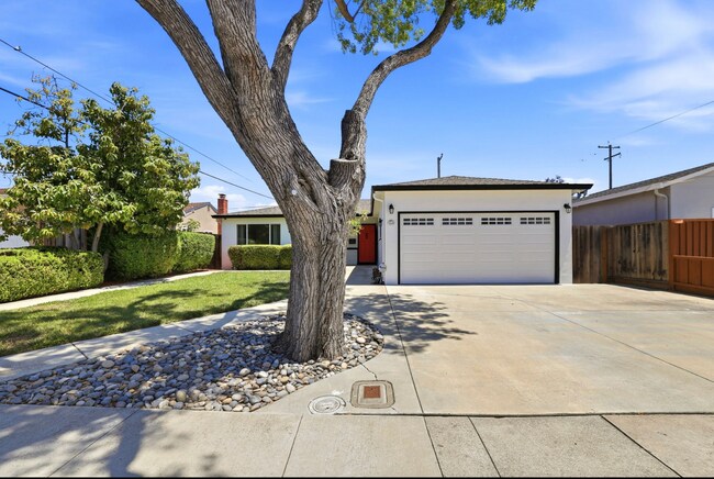 Foto del edificio - Dual-Master 3 Bed. 3 Bath Home in the Heart of Santa Clara.