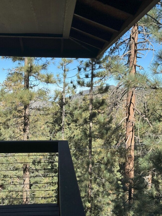 Building Photo - Unique Mountain Home!