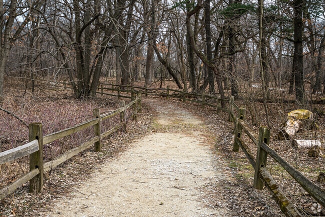 Walkers and joggers love the Sand Ridge Nature Center in Dolton.