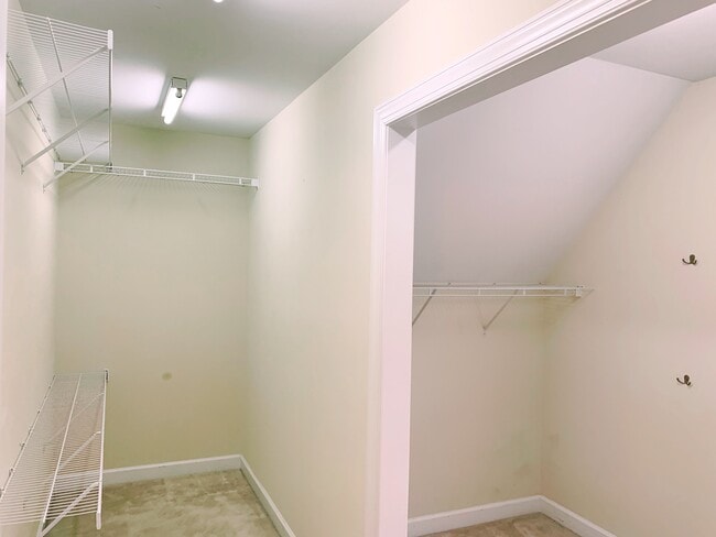 Building Photo - 2412 Horizon Hike Ct