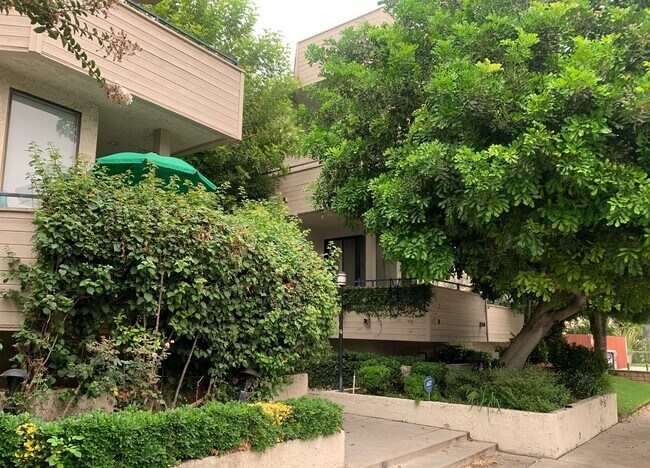 Building Photo - 4519 Coldwater Canyon Ave