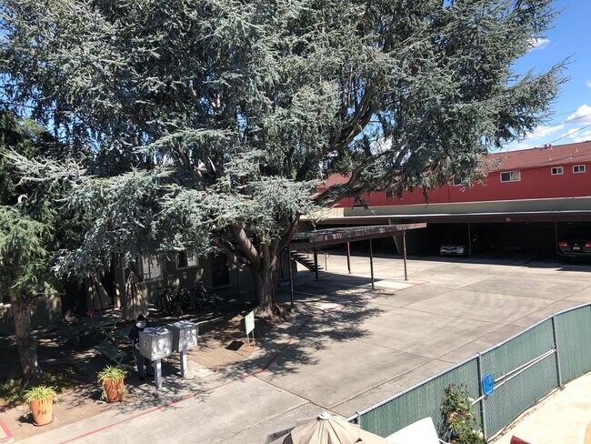 Foto del edificio - 1428 Reeve St