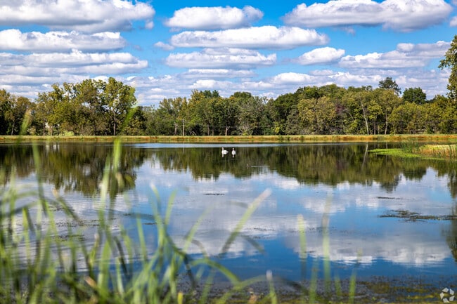 Kings Meadow is a neighborhood full of natural beauty.