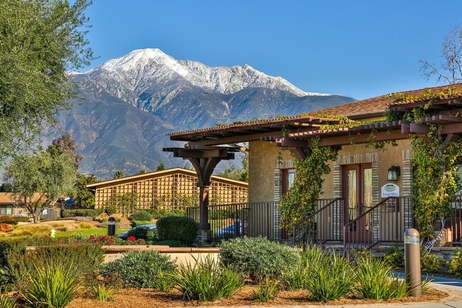 Building Photo - Cucamonga Terrace