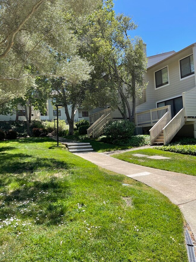 515 Woodminster Dr, Moraga, CA 94556 Townhome Rentals in Moraga CA