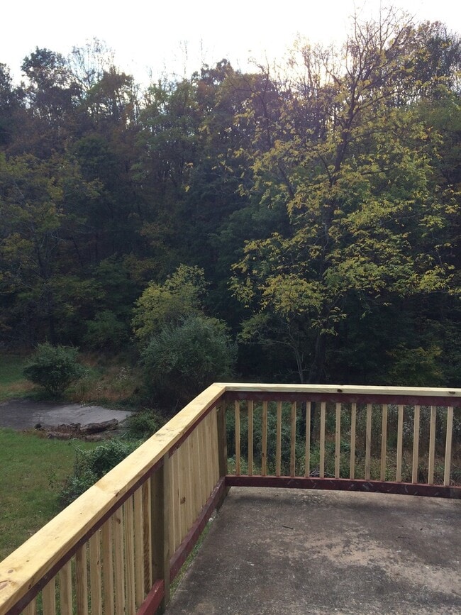 Building Photo - Economical twin home with great natural light, fresh paint, yard, creek