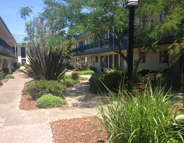 Foto del edificio - The Waverly at Campbell