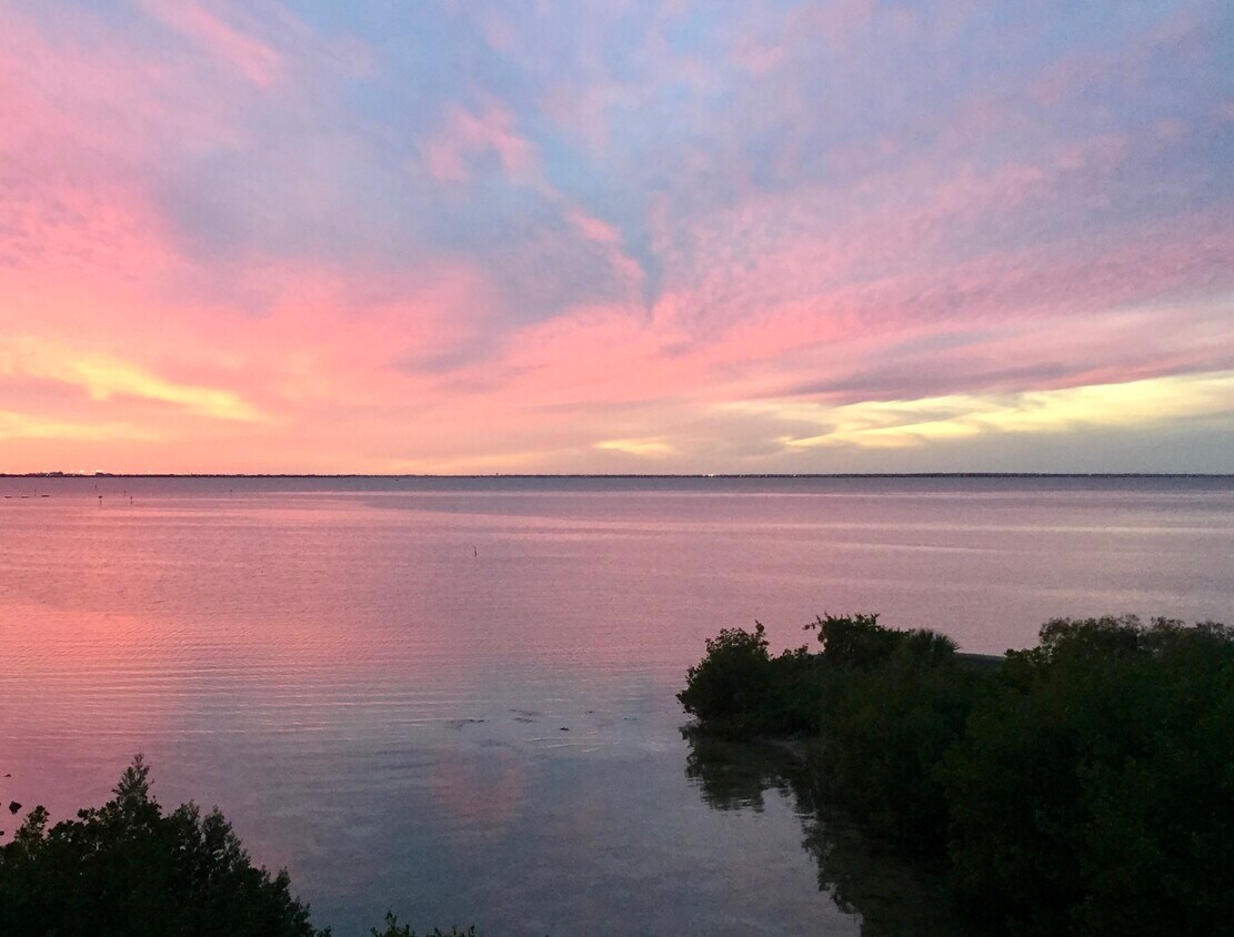 View from balcony - 5000 Culbreath Key Way
