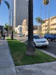 Foto del edificio - 528 S Alexandria Ave