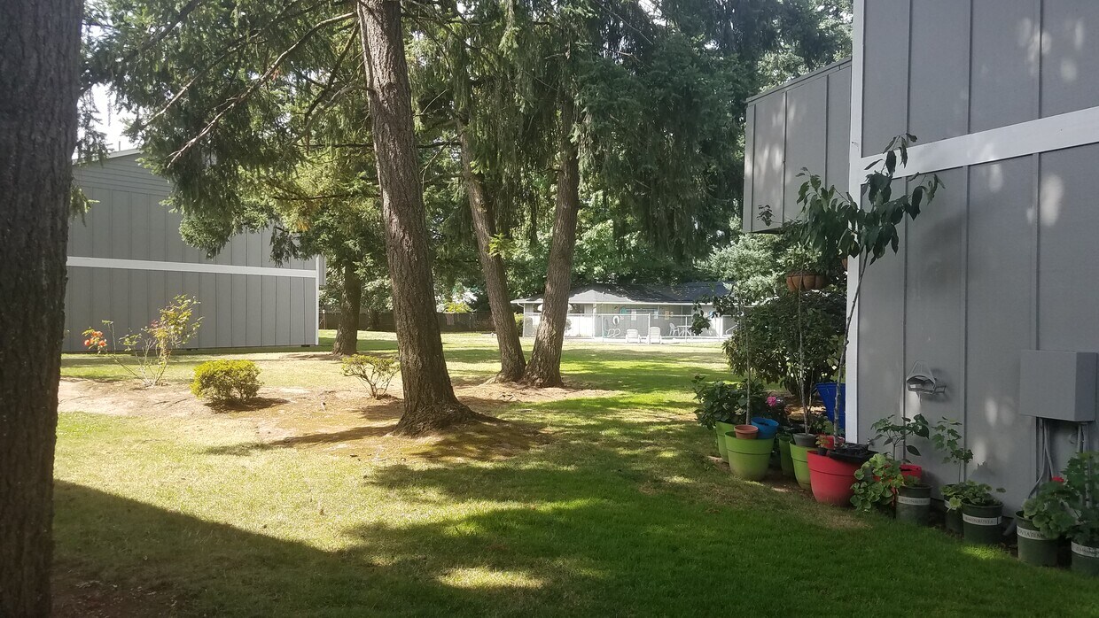 Yard 2 - Kaskela Manor Apartments