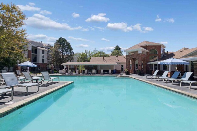 Piscina estilo resort con solárium. - Waterford Cherry Creek