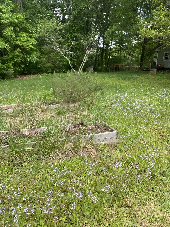 Raised bed garden - 9000 Shallowford Rd