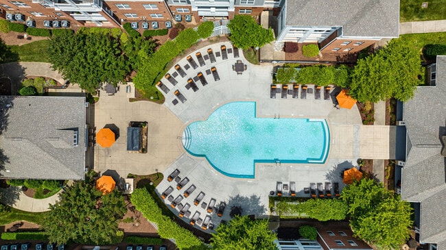 Windsor At Tryon Village apartments — community photo - Windsor At Tryon Village