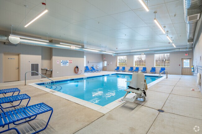 Piscina - The Woods of Terra Springs