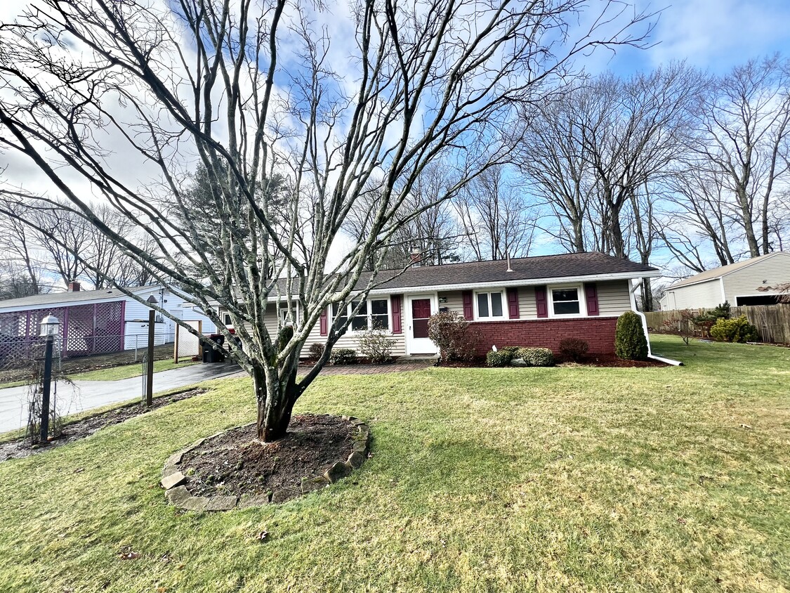 Primary Photo - 216 Elsie Rd