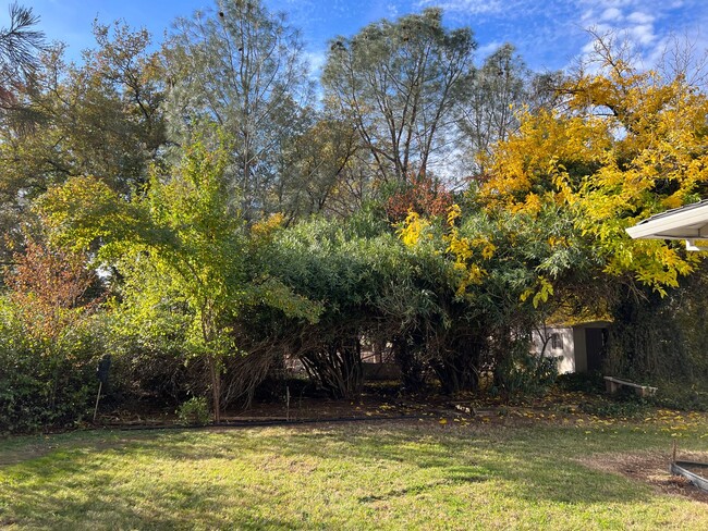 Building Photo - Wonderful Palo Cedro Neighborhood country ...