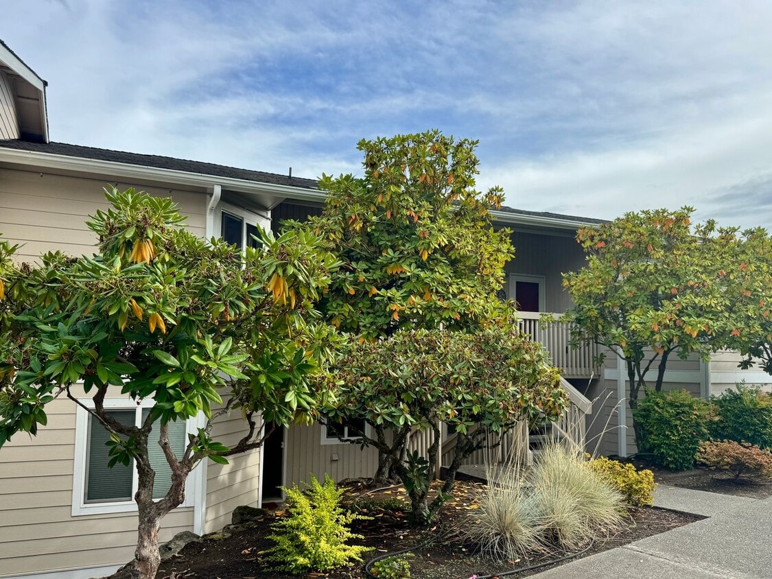 Primary Photo - Downtown Poulsbo water view condo...comple...