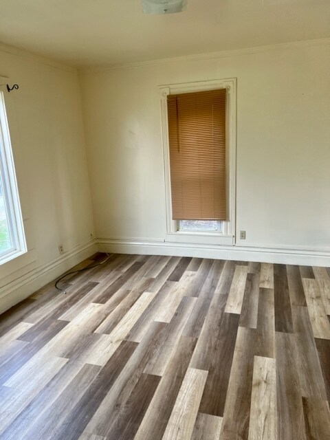 Foto del edificio - 217 Mulberry St