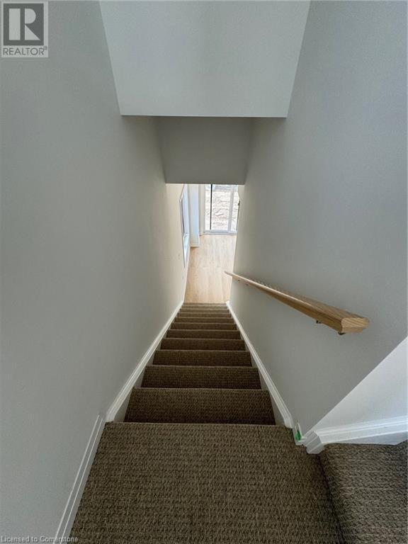Building Photo - 155 Equestrian Way