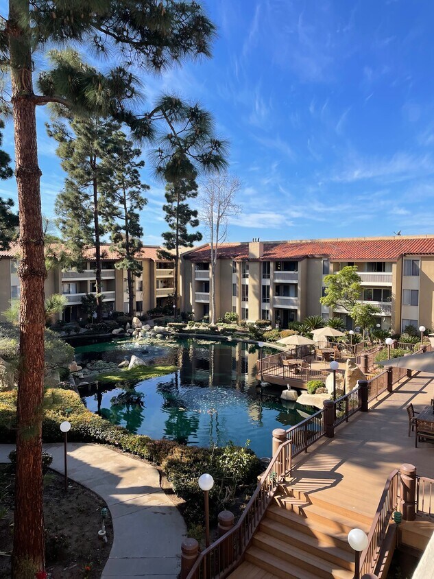 24 Furnished Apartments for Rent in Pacific Beach, CA Westside Rentals