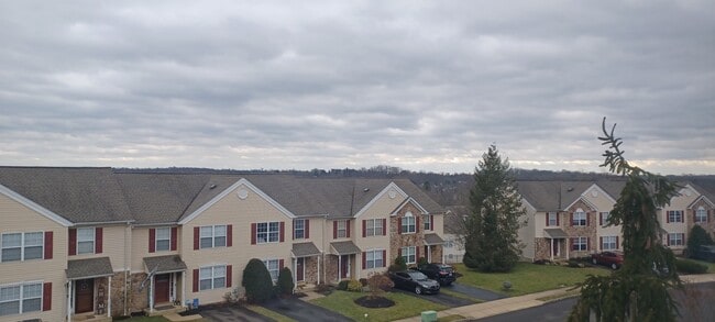 Highest Elevation that Backs Up to Woods in the Community - 3768 Swetland Dr