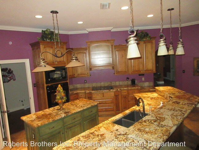 Building Photo - 5 br, 4 bath House - 4066 McFarland Road  B
