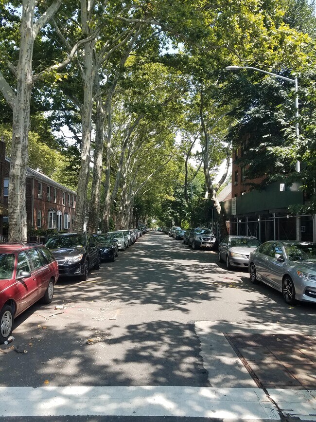 46th (Bliss) Street - 3970 46th St