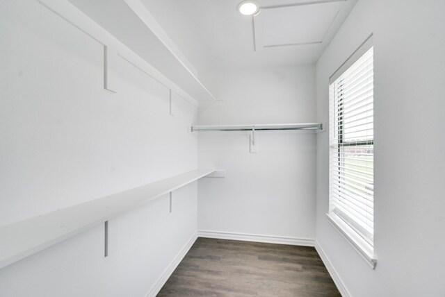 Building Photo - 3413 Brooke Pl