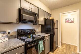 1BR, 1BA - 670SF - Sky at Salado Creek