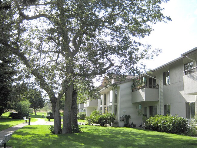 Foto del edificio - Suncrest Senior Apartments