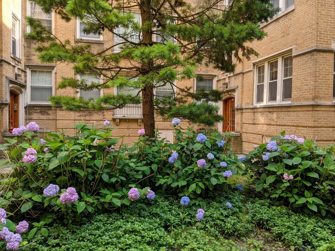 828 Reba Plz, Evanston, IL 60202 Apartments in Evanston, IL