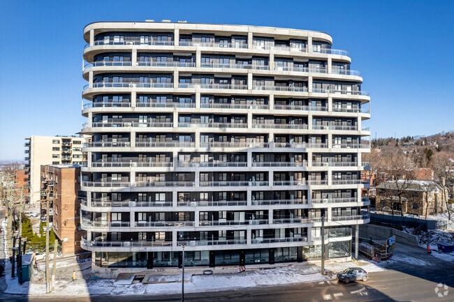 Loyal Apartments