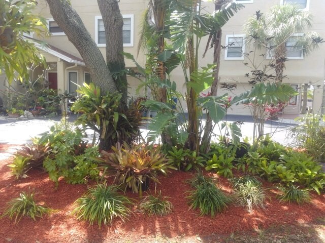 Building Photo - 812 E Gulf Blvd
