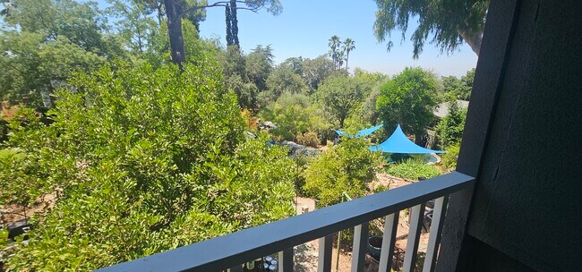 Foto del edificio - 11023 Tujunga Canyon Blvd