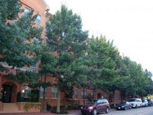 Primary Photo - 3310 Cole Ave