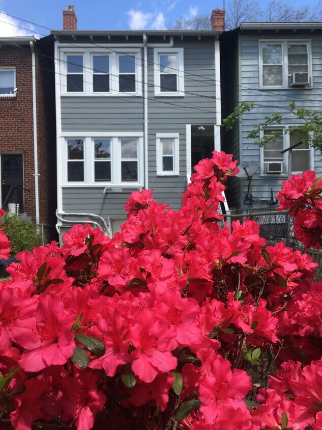 Foto principal - 524 Decatur St NW
